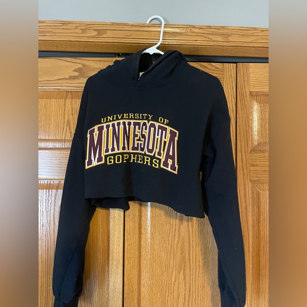 UMN Cropped Hoodie